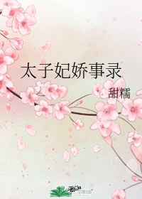太子妃娇事录